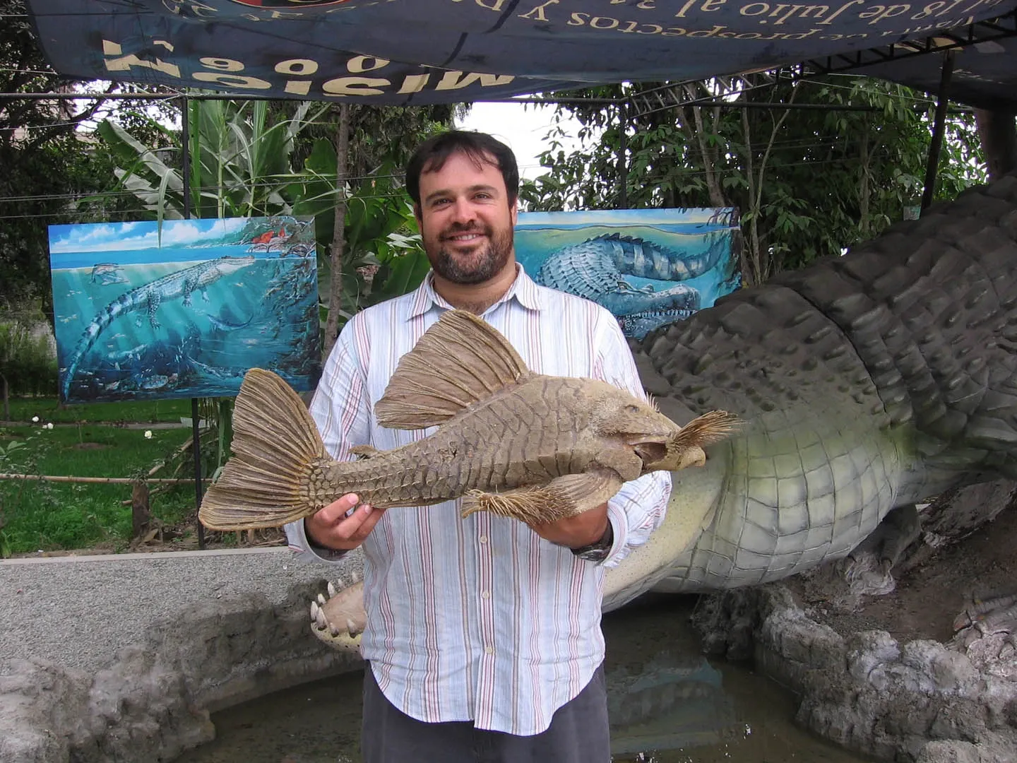 ปลาดุกกินไม้ (Wood-eating catfish) 